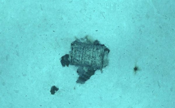 La expedición francesa identifica un total de 3.350 bidones con residuos radiactivos en el Atlántico