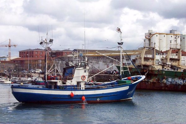 El sector pesquero afectado por la parada biológica del jurel recibirá 200.000 euros en ayudas de Cantabria