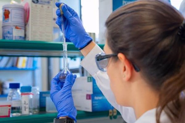 El CSIC lidera una iniciativa para desarrollar gemelos digitales pioneros