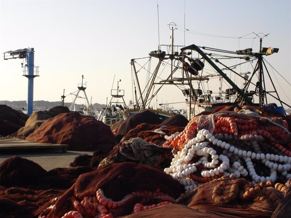 La flota de cerco del Golfo de Cádiz urge al Gobierno a tomar medidas para