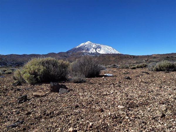Ecologistas piden la retirada del 'Diploma Europeo' para el Parque Nacional del Teide por mala gestión del Cabildo