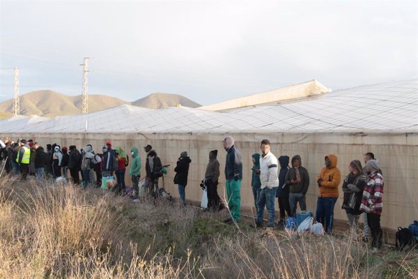 Epidemiólogos alertan sobre la vulnerabilidad de los migrantes que trabajan como temporeros en el campo español