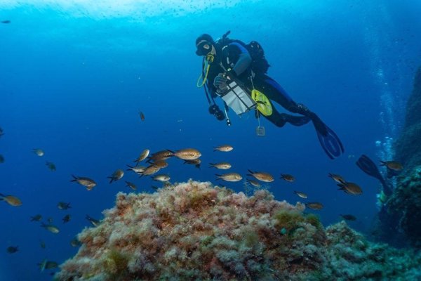 El Govern balear ampliará la Reserva Marina des Freus (Formentera) en 5.600 hectáreas