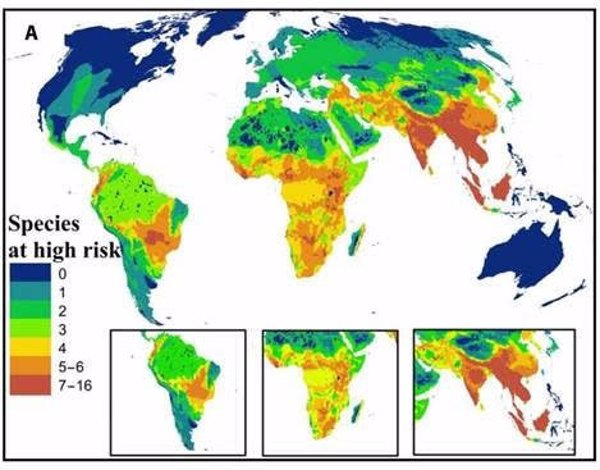 La actividad y el impacto humano ponen en riesgo la supervivencia de los carnívoros, según un estudio