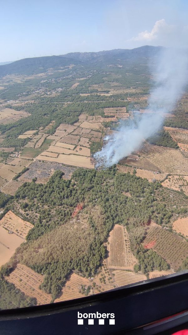 Los Bomberos trabajan en un incendio entre el Pla de Santa Maria y Santes Creus (Tarragona)