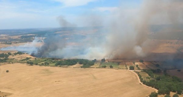 Casi 30 medios aéreos y terrestres trabajan para sofocar un fuego en Castillejo de Martín Viejo (Salamanca)