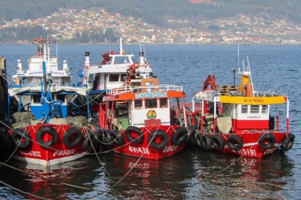 Armadores de Vigo alertan de que reducir un 67% los fondos europeos 