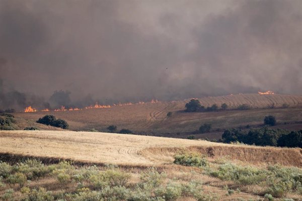 Madrid asume el mando unificado por el incendio en Méntrida (Toledo) y solicitará la colaboración de la UME