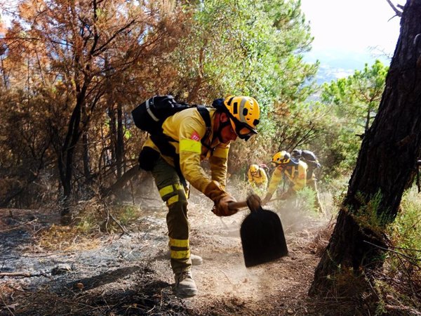 Controlado el incendio forestal declarado en un paraje de Gibraleón (Huelva)