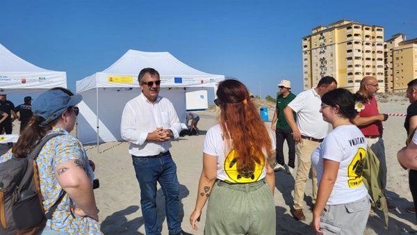 Murcia culmina la liberación de los 84 ejemplares de tortuga boba del nido de El Pedruchillo