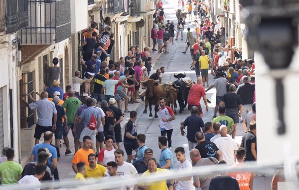 Herido un hombre de 47 años por asta de toro en los 'bous cerrils' de Pedreguer (Alicante)
