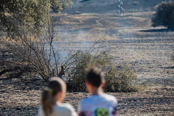 Madrid mantiene el nivel operativo 2 por el incendio de Méntrida y confía en rebajarlo a partir de las 21h