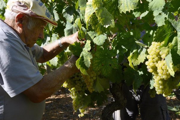 Los sindicatos europeos de agricultura, 
