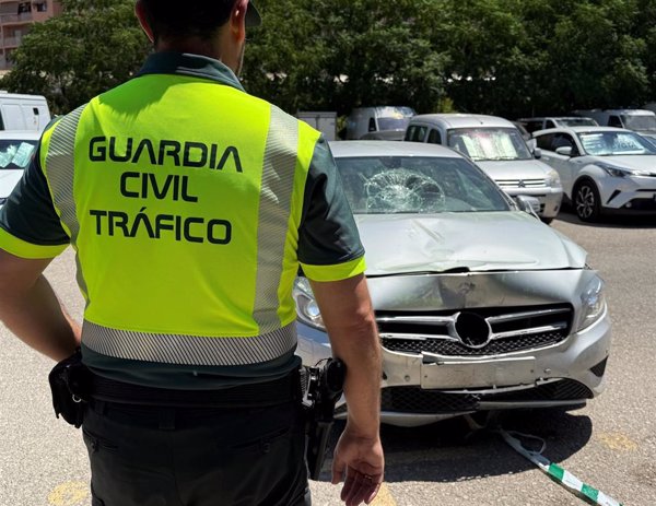 Detenido tras abandonar el lugar de un accidente mortal en Granada por el choque del coche que conducía