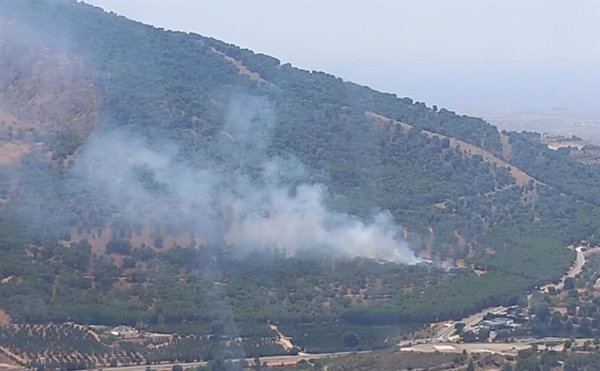 Un incendio forestal afecta al paraje de Fuente del Acebuche en Alhaurín el Grande (Málaga)