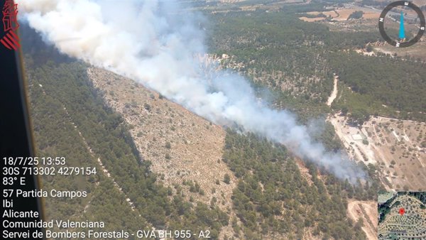 Nueve medios aéreos y varias dotaciones de bomberos luchan contra el incendio forestal de Ibi (Alicante)