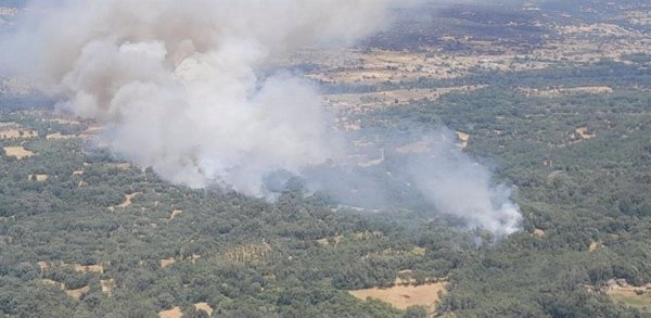 Casi medio centenar de medios trabaja en un fuego con índice de gravedad 2 en Navaluenga (Ávila)