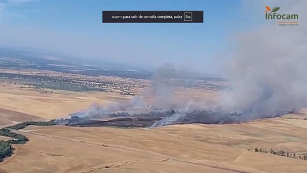 Siete medios de extinción aéreos trabajan para sofocar un incendio forestal en Maqueda (Toledo)