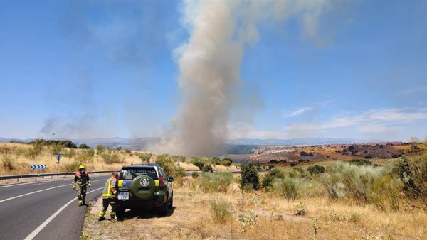 Bomberos trabajan para controlar un incendio de vegetación en Arroyomolinos (Madrid)