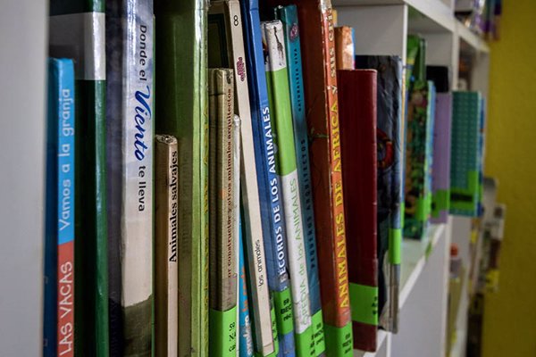 Javier Castillo, Julia Navarro o Freida McFadden, algunos de los autores más demandados en las bibliotecas de la capital