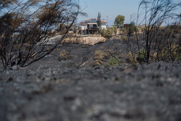 Extinguidos los incendios forestales de Méntrida, Maqueda y Los Pozuelos de Calatrava