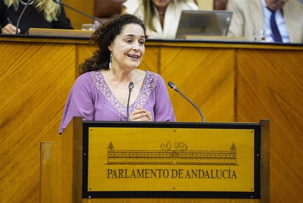 Por Andalucía reclama auditar los contratos de la Junta con la empresa del exconsejero investigado en el caso Montoro