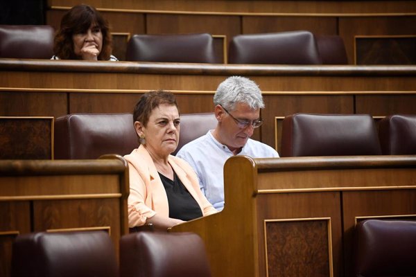 Bildu lleva una ley al Congreso para prohibir a las plataformas anunciar apartamentos turísticos ilegales