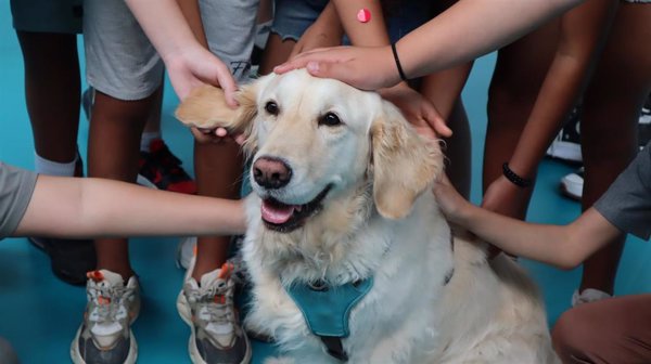 Perros de intervención asistida acompañan a más de mil niños y niñas afectados por la dana