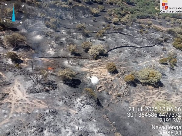 Reactivado el incendio de Navaluenga (Ávila) en el que trabajan una veintena de medios aéreos y terrestres