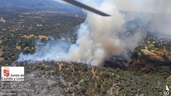 Declarado índice de gravedad 1 en el incendio forestal de Navaluenga (Ávila)