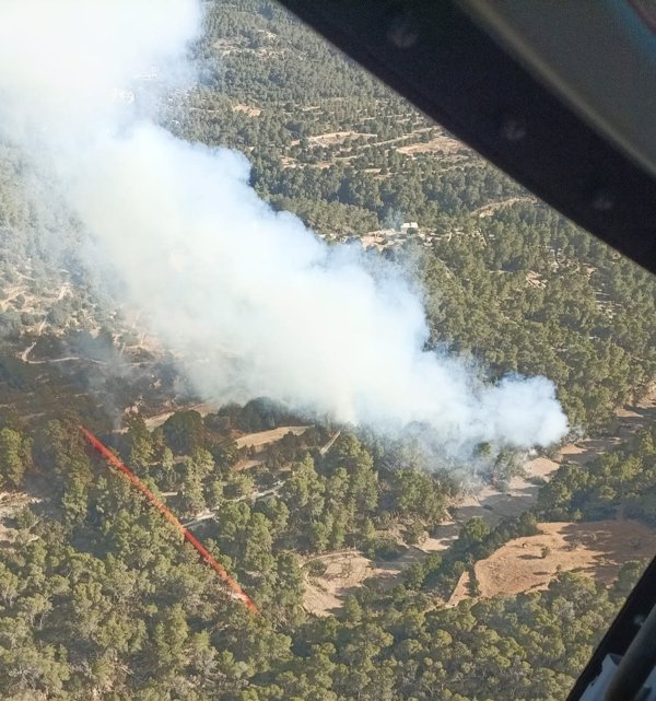 Declarado un incendio forestal en Cala d'Hort (Ibiza)