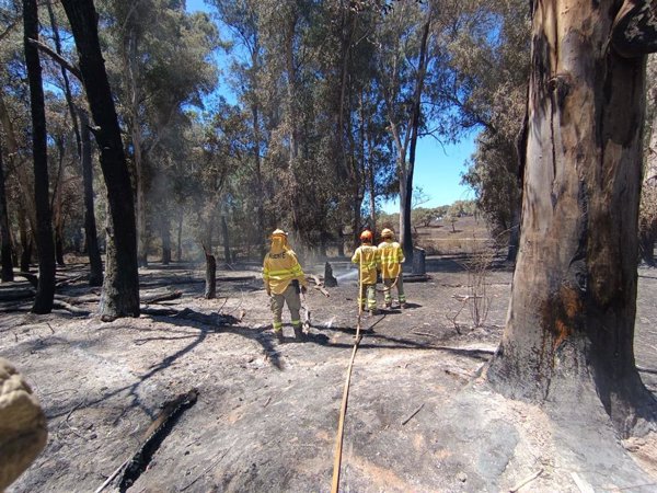 El Plan Infoex da por controlado el incendio de Valdecaballeros (Badajoz)