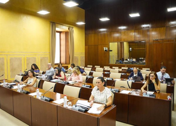 Parlamento andaluz rechaza con votos de PP-Vox pedir a RTVA sacar a Bertín Osborne de su parrilla por su