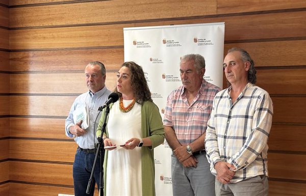 CyL urge una