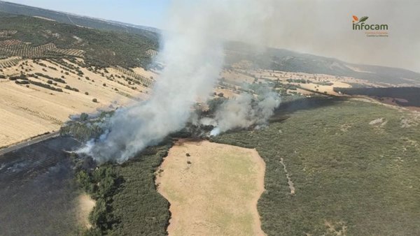 Extinguido el incendio declarado este lunes en Piedrabuena (Ciudad Real)
