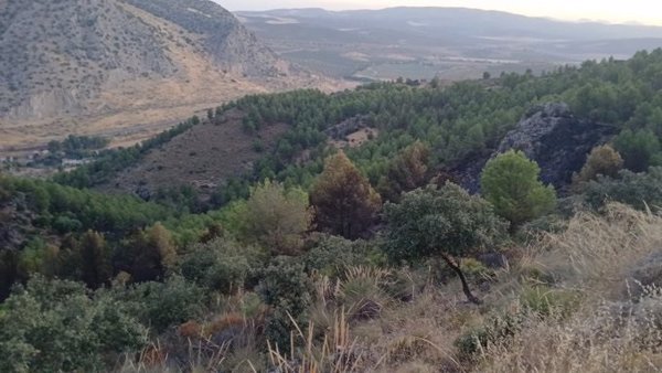 Estabilizado el incendio forestal declarado este pasado martes en Antequera (Málaga)
