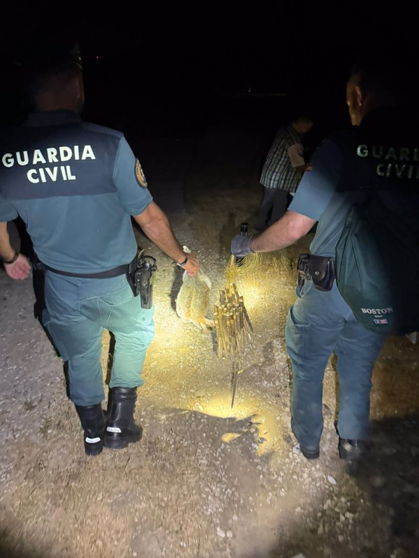 Investigado un cazador furtivo reincidente en el término municipal de Medina Sidonia (Cádiz)