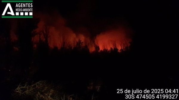 El Infoca trabaja para controlar un incendio ya estabilizado en el paraje Puerto Bajo, en Jaén
