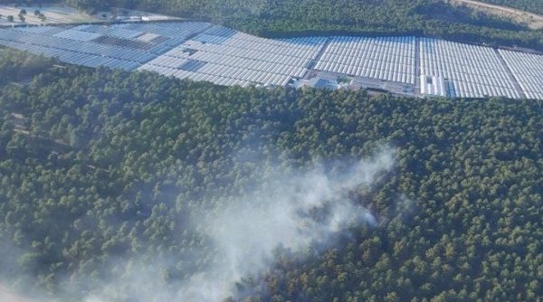 Controlado el incendio de Coca (Segovia) que llegó a gravedad 1 en la tarde del jueves