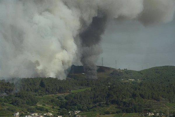 Controlado el incendio forestal de Cualedro (Ourense) que afecta a unas 90 hectáreas