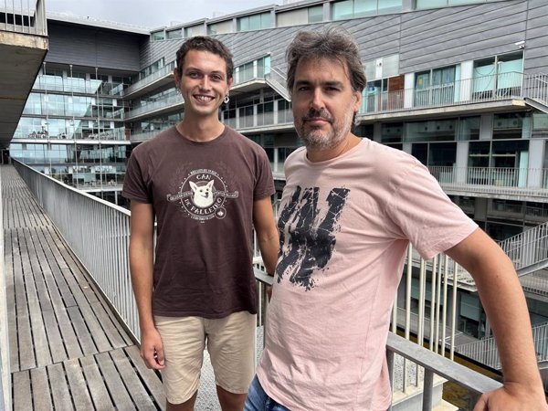 Vinculan el origen de enfermedades neurológicas con etapas iniciales de la formación del cerebro