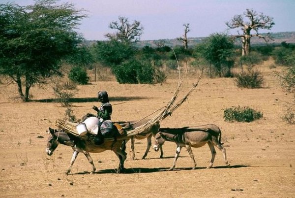 Un presunto ataque de pastores fulani deja al menos 14 muertos en el centro de Nigeria