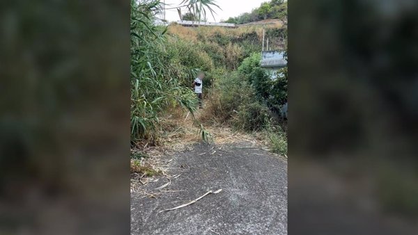 Detienen a un hombre por intentar generar un incendio en el monte de Moya (Gran Canaria)