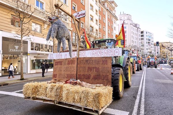 Ganaderos cántabros trasladan a Morán su 