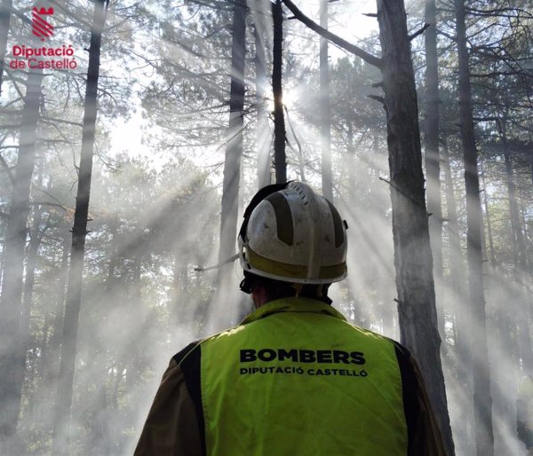 Controlado el incendio forestal declarado en Castellfort (Castellón)