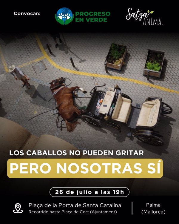 Animalistas se manifiestan este sábado en Palma para protestar por la 