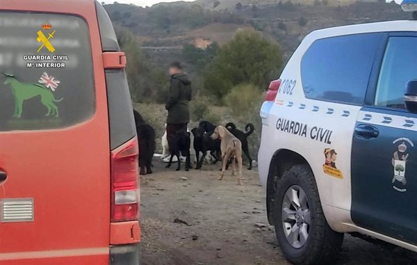 Desmantelado un criadero ilegal para animales maltratados en Macael (Almería)
