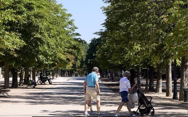 ONG alaban la contribución social y emocional de los abuelos y piden acabar con estereotipos edadistas: 