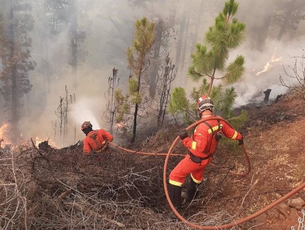 Decretada la situación de alerta por riesgo de incendio forestal en Gran Canaria a partir de este domingo