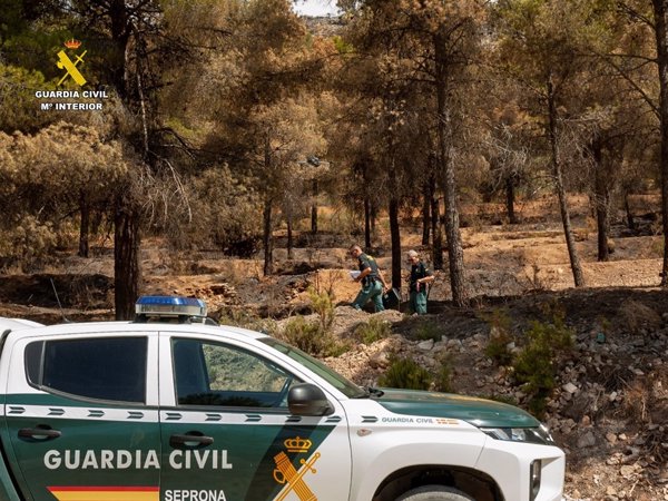 La Guardia Civil investiga a un hombre como presunto autor del incendio forestal de Ibi (Alicante)